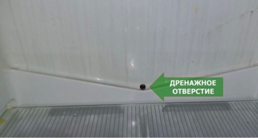 Продлит срок службы холодильнику в 2 раза: обычный предмет из аптечки творит чудеса Продлит срок службы холодильнику в 2 раза: обычный предмет из аптечки творит чудеса