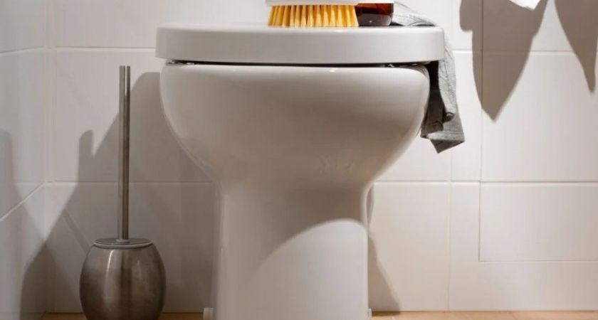 Кладем пластиковую бутылку в унитаз – он чистый и благоухает: бюджетный лайфхак для экономных хозяек Кладем пластиковую бутылку в унитаз – он чистый и благоухает: бюджетный лайфхак для экономных хозяек
