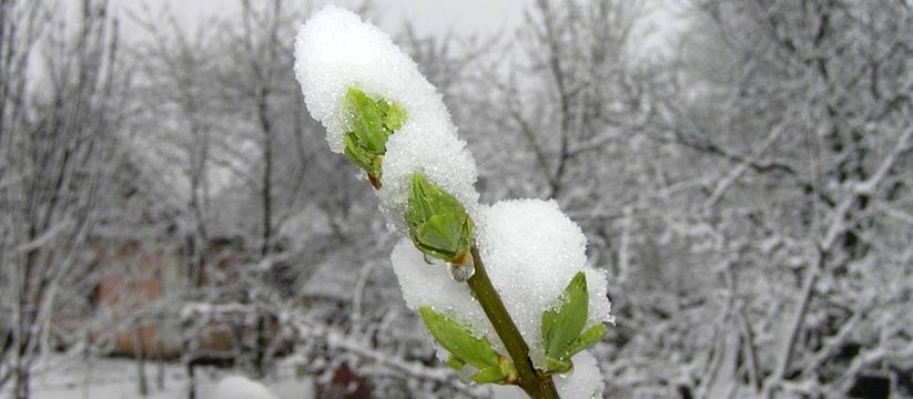 Удар будет очень мощным. Синоптики рассказали, что произойдет под конец апреля