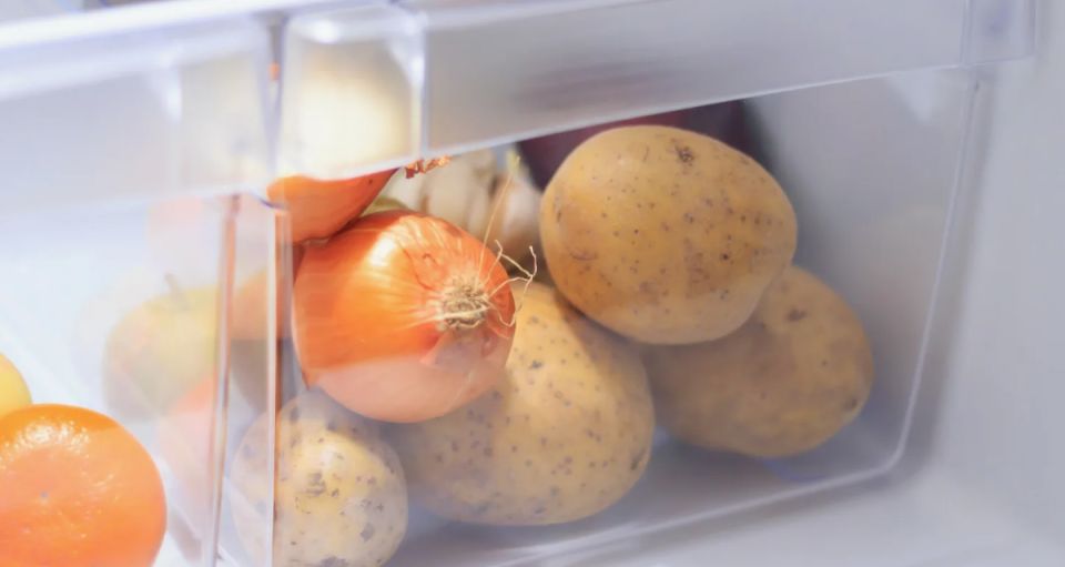      : surprising food storage tips