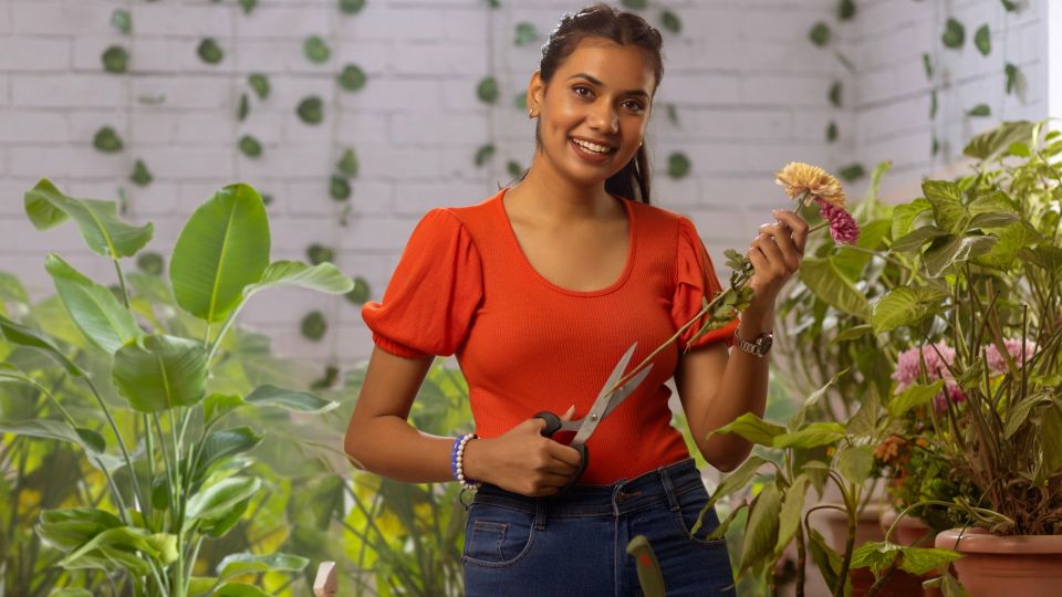 Даже самые чахлые комнатные цветы моментально оживут: вот чем протрите листья