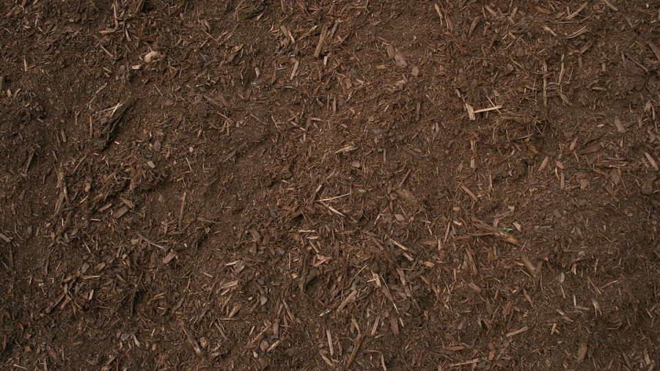 Вересковая земля: плюсы и минусы для дачников