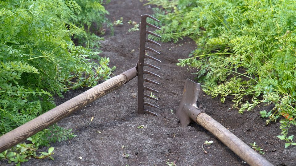 Улучшить фигуру, снять стресс и завести знакомства: чем хороша работа на огороде