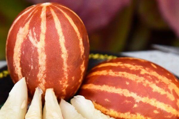 Дыня Ходжа Насреддин: уникальная сладость и удивительные особенности