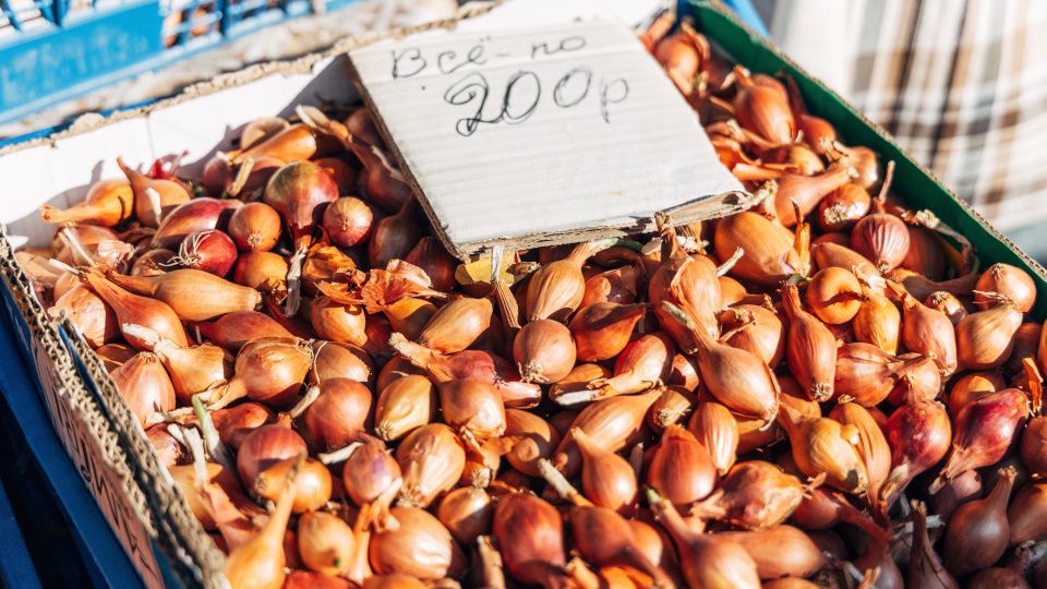 Успейте посадить лук-севок: важные советы для успешного урожая!