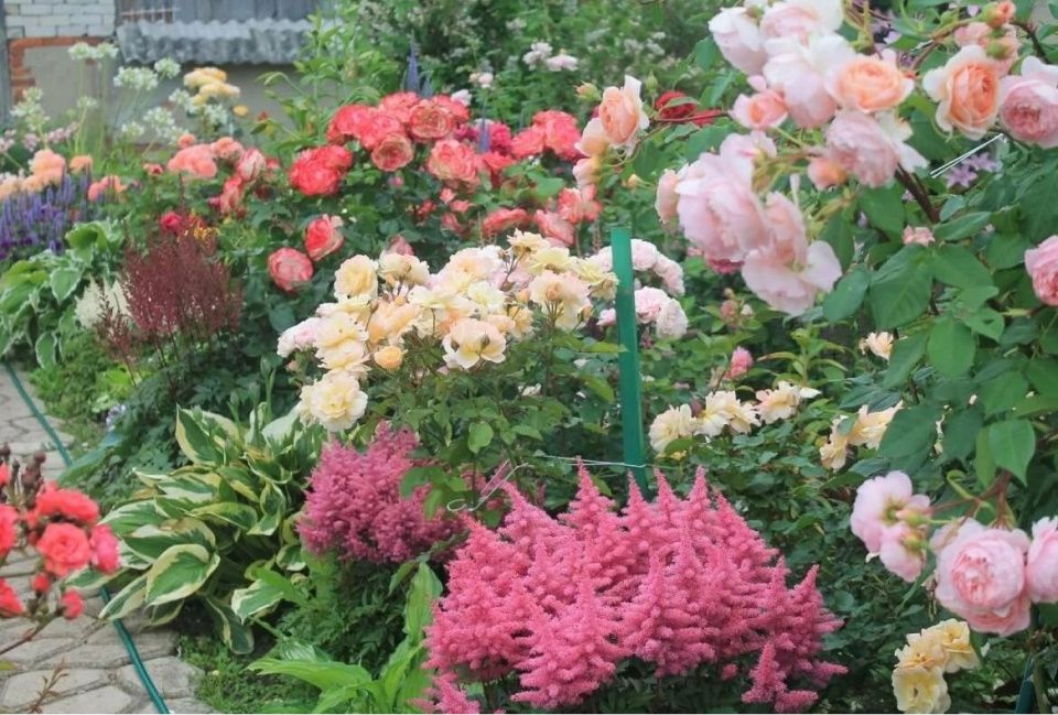 ���� � �� ��������� ������: ��� ������� ����������� ������� � ����