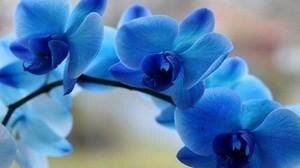 ����� � ������� �������: ������� ����� � ���� �� ��������� �������������