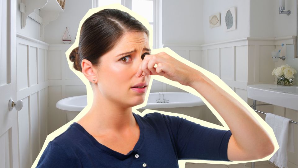 ������ ������� ������� �������� � ������: ������� ������ ����� ��� �������