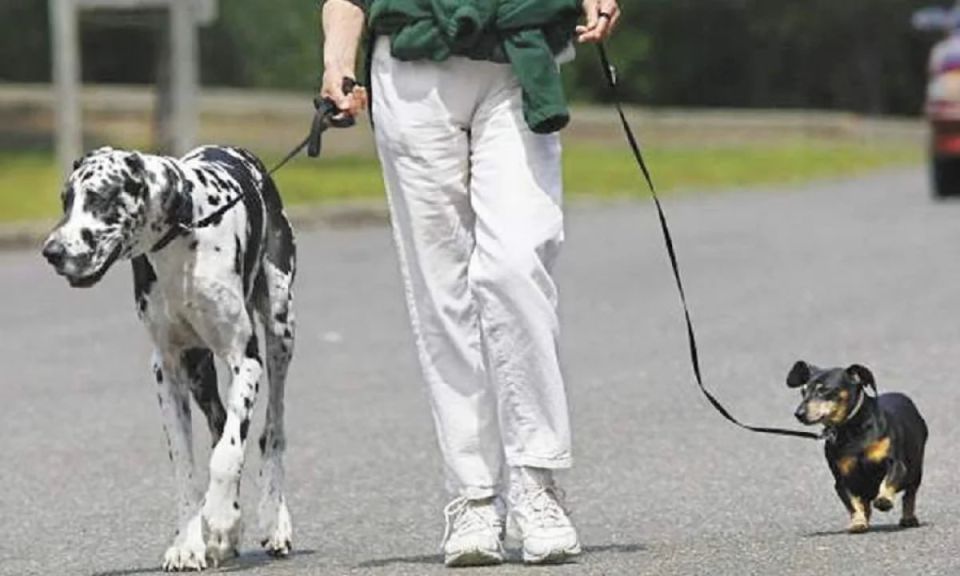 ������� ������, ��� ������ ������: ������ ��� ���������� �������� ��������, ������� ����� ��������� ���������� ��������