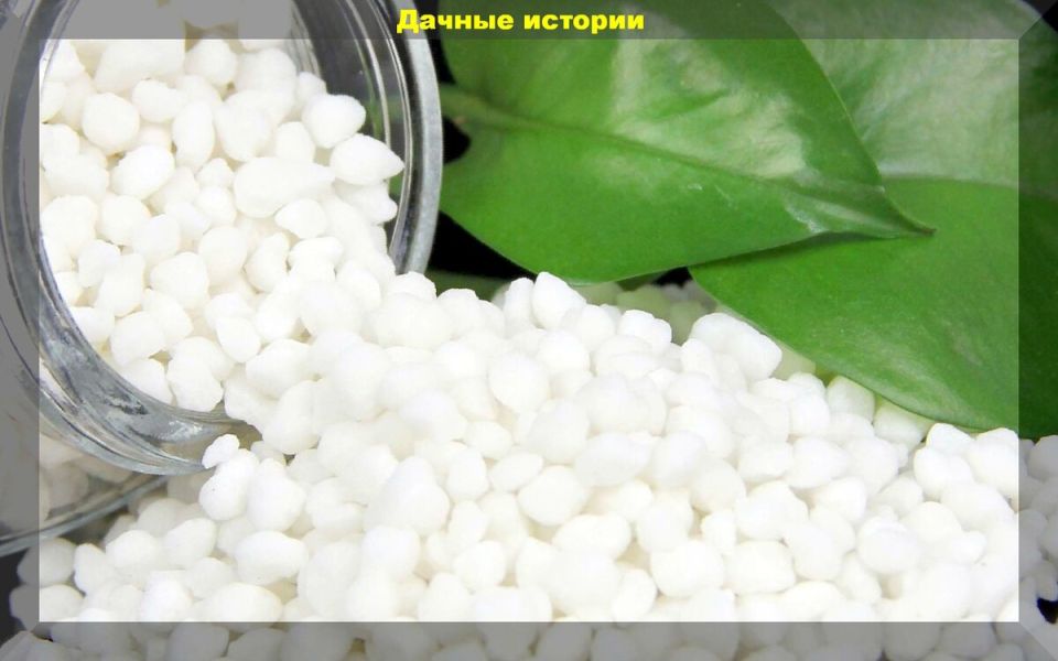 Эффективные методы использования аммиачной селитры для повышения урожая