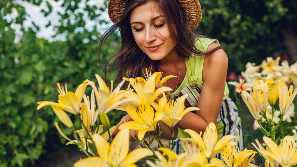 ����� �������� ��������, ��� � �������: ������� � ����� ����� ���� ���������