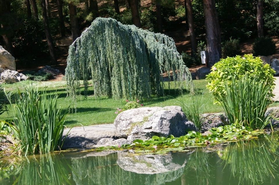 �������� ������������ ������������� �������