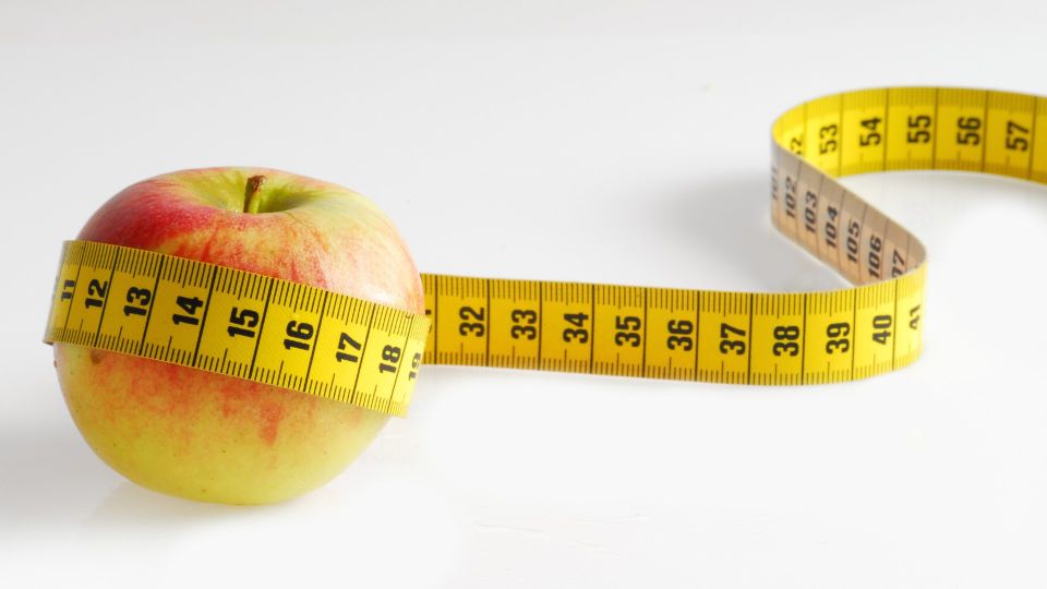 �������� ���������: ���� �������� ��� ����������� ������-��������