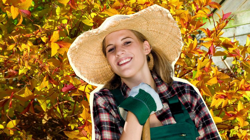 ���� �������� ����������� ������� ����� �� �������: �� ������ ������ ������