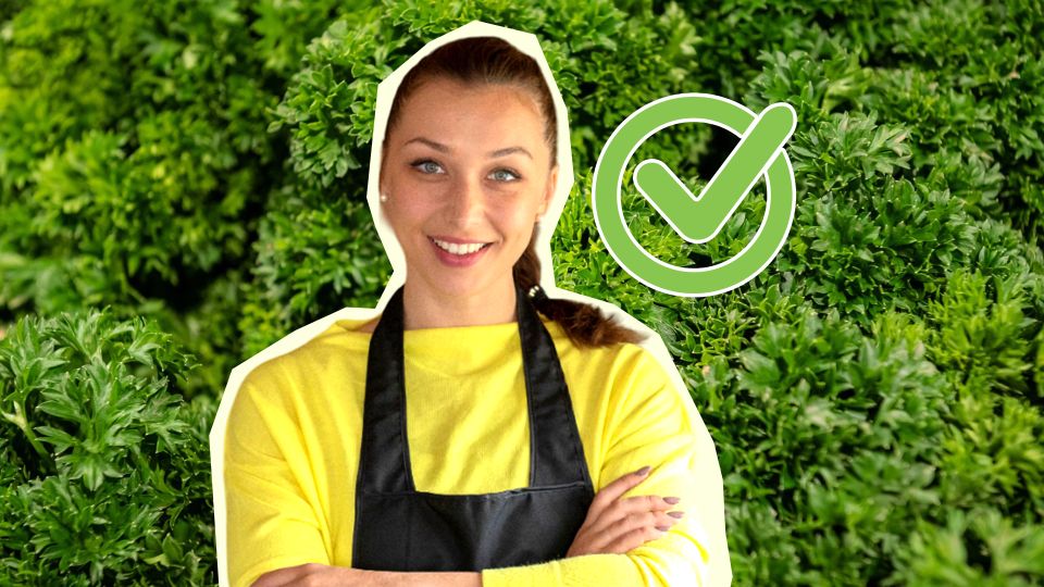 �� ����� �������� �����������: ��� ������� ���� �������� ������� ����� �������������