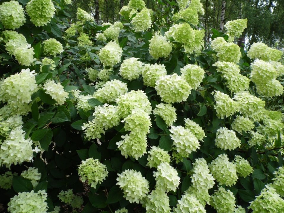 ������� ���� � ����� ����