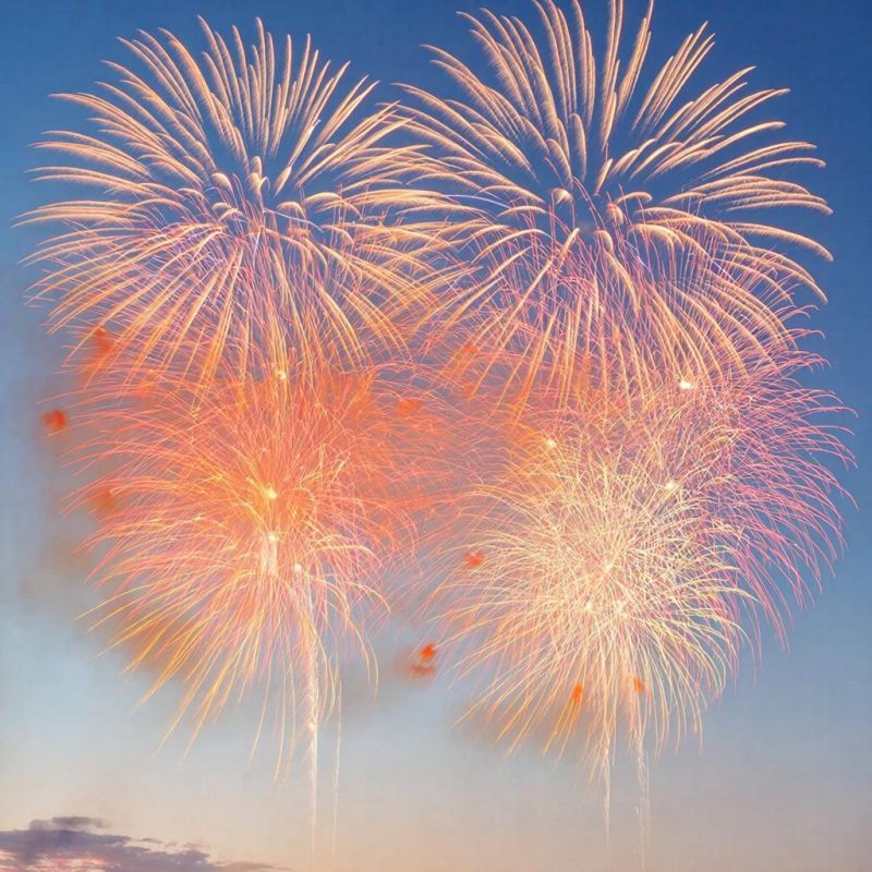 ������� ������������ ���������� ����������� � ������ ������� � ���� � 2026 ����