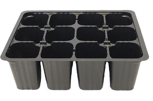 ����������� ������ ����������� ������: ���� ��� �����