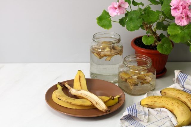 ��� ���������� �������� ������ � �������� ��������� ��� ��������