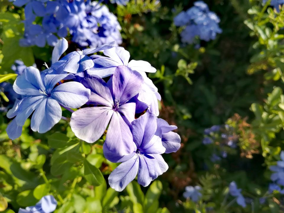 ��� ��� ����� �������: 10 ������������ �������������, ������� ������������ ��� ������ �������