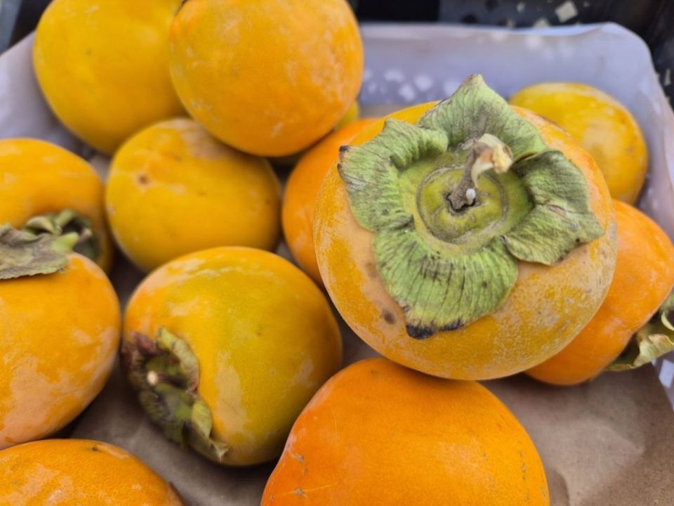 ��������� �������: 40 ���� ���������� ����� �� ����� � ����������