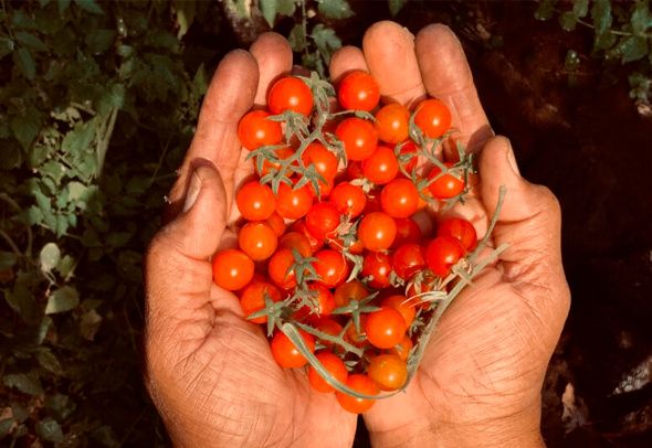 ����� �������: ��������� ���� � ������� ������� � �������������� ����������