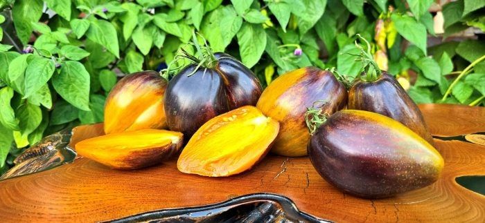 Томат охровая вуаль: привлекательный цвет и насыщенный вкус для вашего огорода