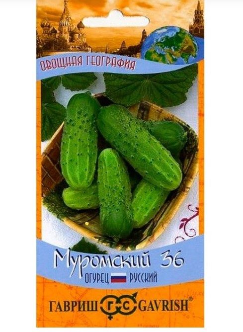 Огурцы, которые пережили века: Муромский и Вязниковский сорта