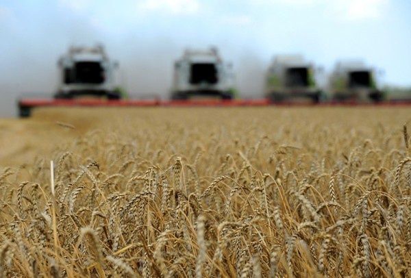 ������ �� ����� ������������ ������ ����������� �������� � ����������� �������