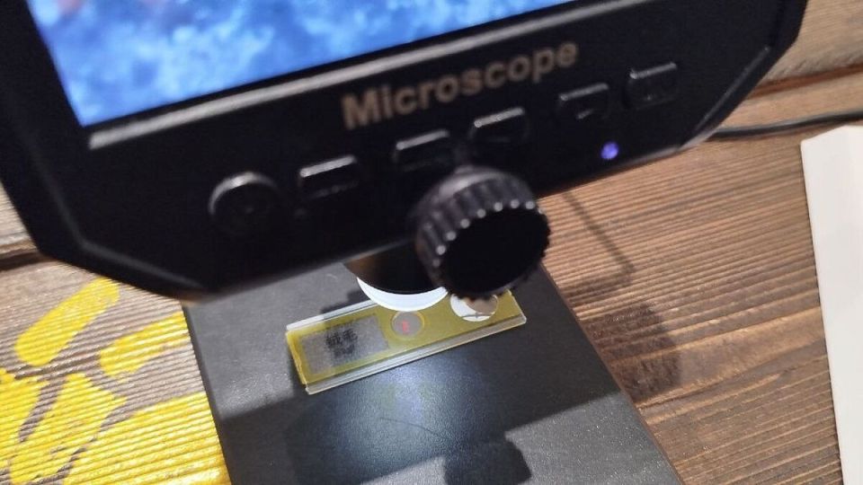 Бергамотовые полифенолы помогают печени: спокойное объяснение исследования на мышах