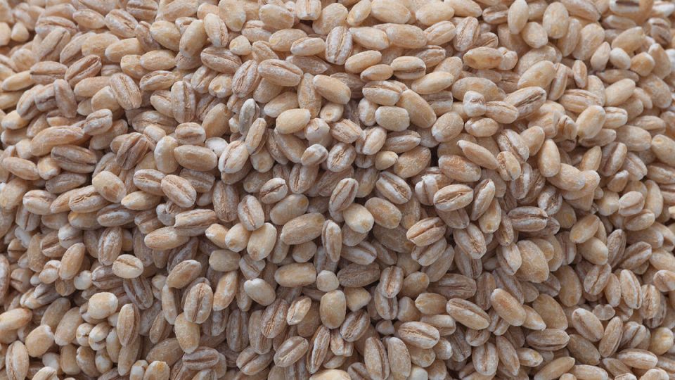 Удивительно полезная крупа для почвы и рациона