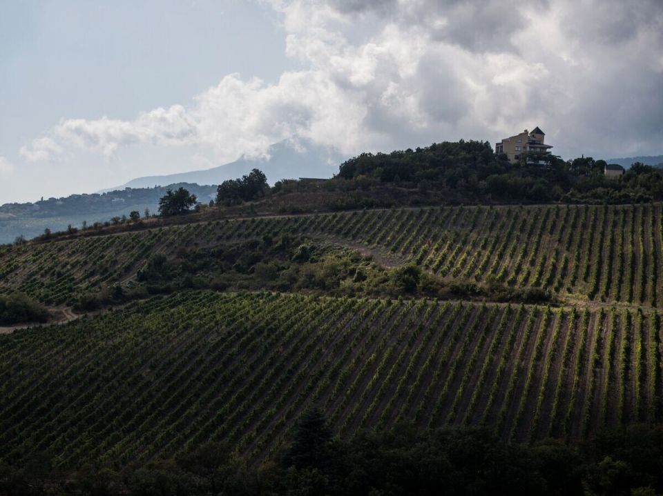 Гостиницы для сельского туризма появятся только на землях виноделов и с минимальными ограничениями