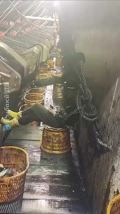    ?.       :     