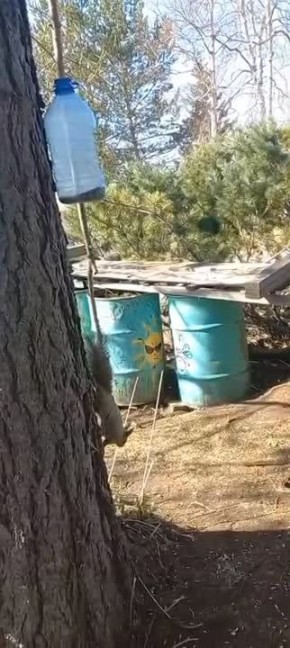    .           &quot;&quot;     
