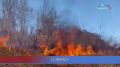 ГОРИМ!. Дождь любимая погода у пожарных весной