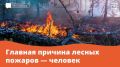 Травяной пал это настоящее стихийное бедствие