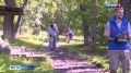 В парке "Электрон" началась реконструкция