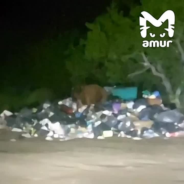 ,      , 
