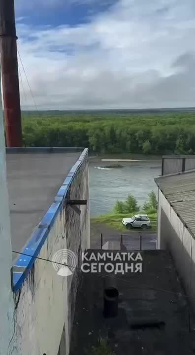     :  ,  ,  
