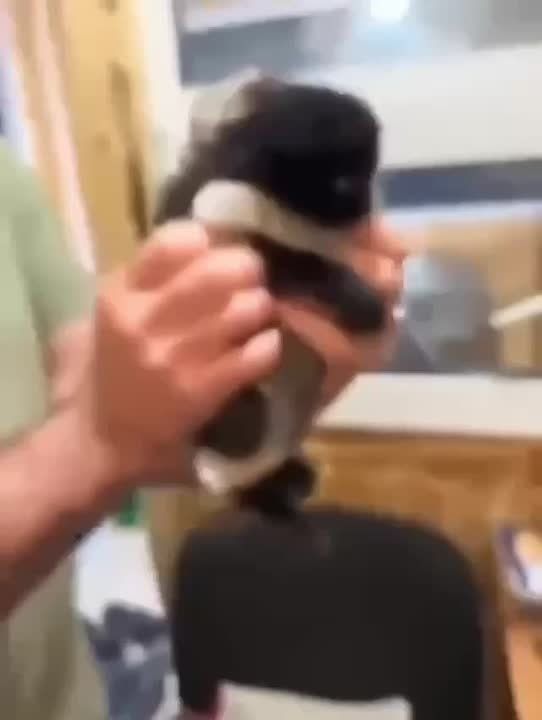      !