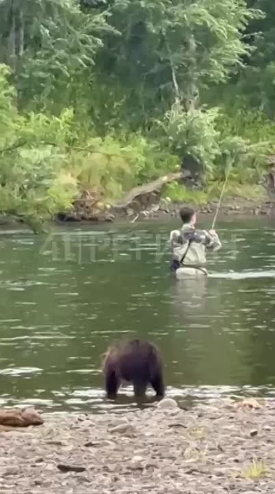   -   