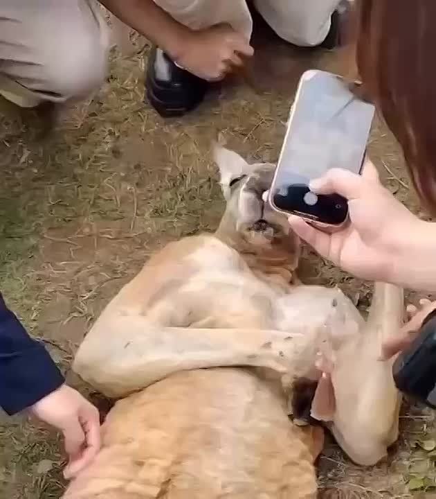 -.   