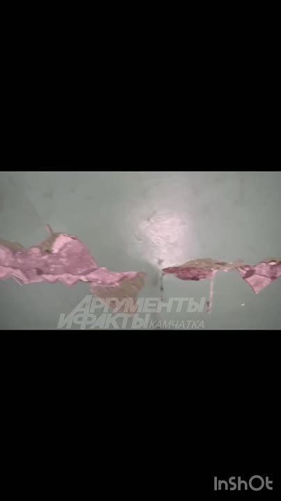 #. , 16,      ..      ,        