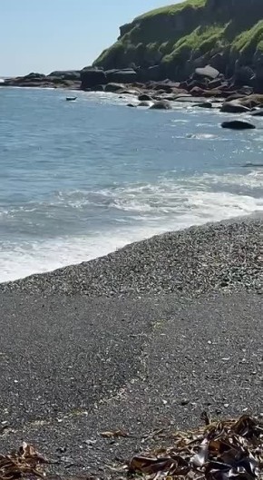  ,  ,  