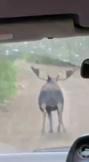  , ?