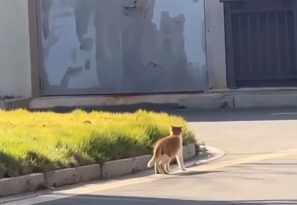   !.     
