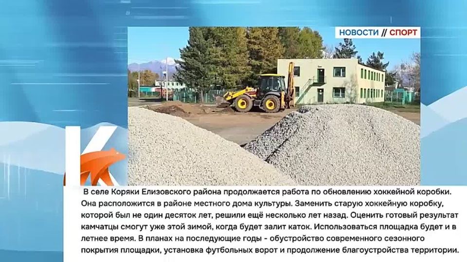 Камчатка|Новости спорта. Камчатская сборная по ездовому спорту – призёр Чемпионата и Первенства России