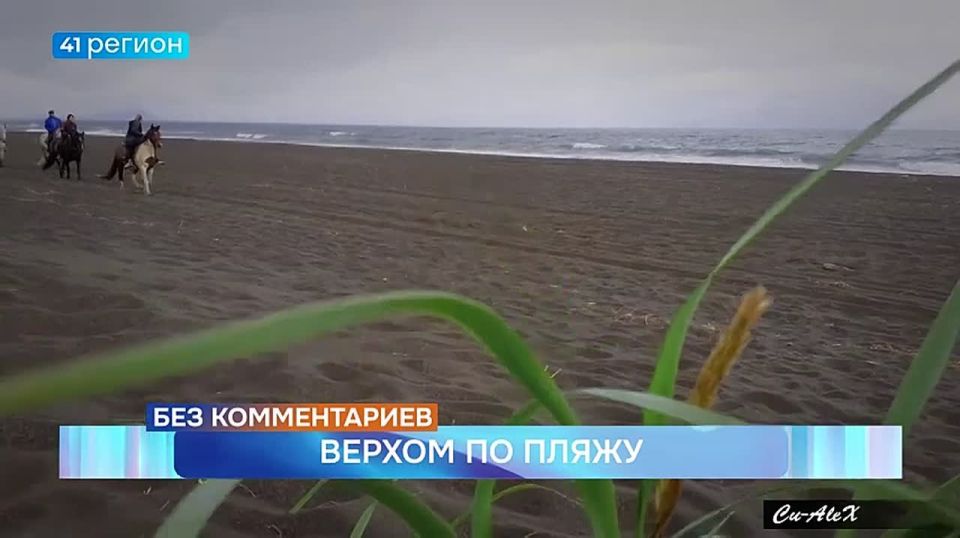 Верхом по пляжу • Без комментариев