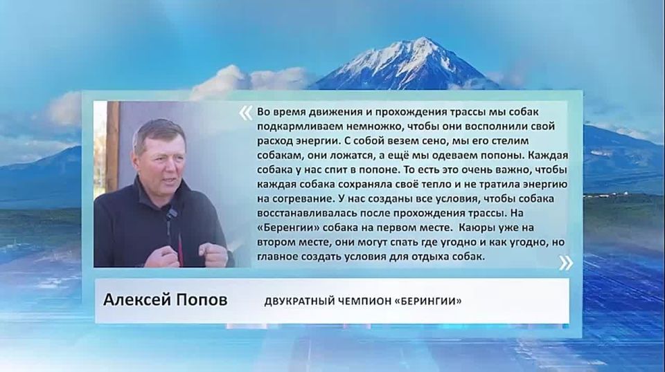 "Во время движения по трассе мы подкармливаем собак, чтобы восполнить их энергию
