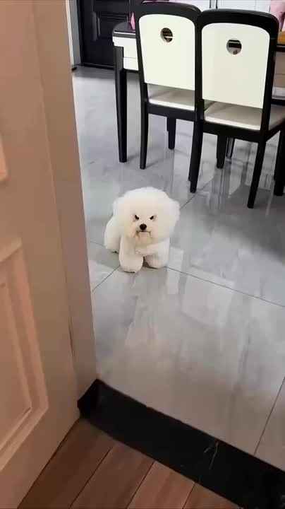 Жан-Клод Ван Дамм, «Некуда бежать»